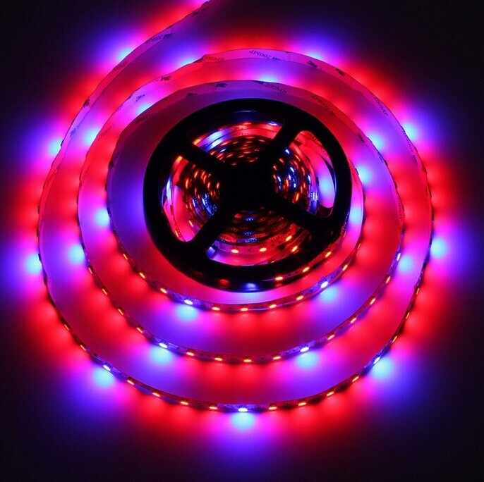 new product waterproof plant growth red and blue color led flexible strip light